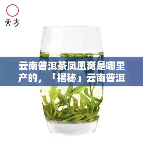 云南普洱茶凤凰窝是哪里产的，「揭秘」云南普洱茶凤凰窝产地究竟是哪里？