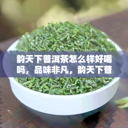 韵天下普洱茶怎么样好喝吗，品味非凡，韵天下普洱茶：口感如何？值得品尝吗？