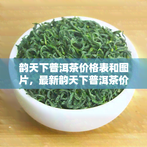 韵天下普洱茶价格表和图片，最新韵天下普洱茶价格表及高清图片一览