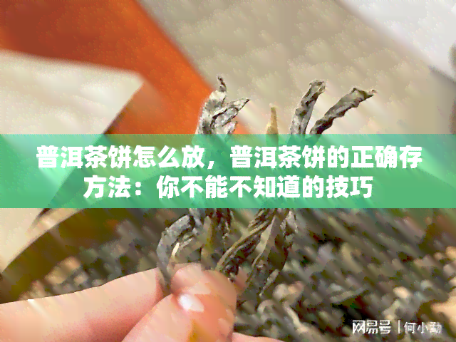 普洱茶饼怎么放，普洱茶饼的正确存方法：你不能不知道的技巧