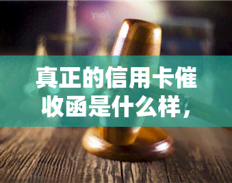 真正的信用卡函是什么样，揭秘真正的信用卡函：你必须知道的要点