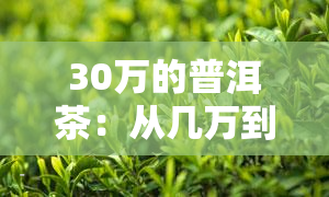 30万的普洱茶：从几万到几千，价格差异大，品质能否匹配？