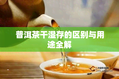 普洱茶干湿存的区别与用途全解