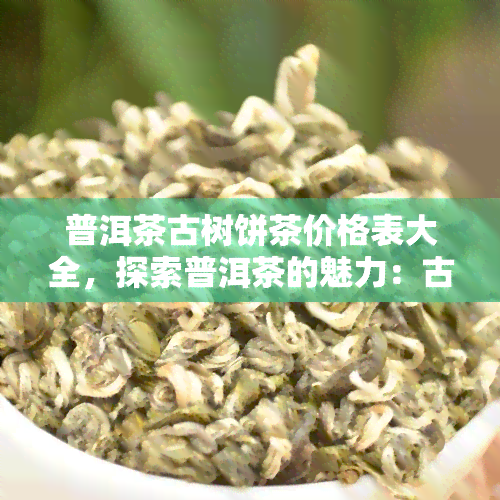 普洱茶古树饼茶价格表大全，探索普洱茶的魅力：古树饼茶价格表大全