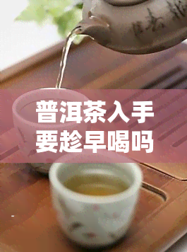 普洱茶入手要趁早喝吗为什么，尽早品尝普洱茶的理由：为何普洱茶入手要趁早喝？