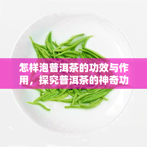 怎样泡普洱茶的功效与作用，探究普洱茶的神奇功效：如何正确泡制并享受它的健益处