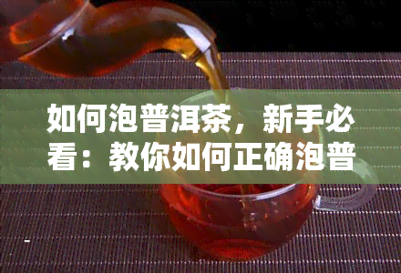 如何泡普洱茶，新手必看：教你如何正确泡普洱茶