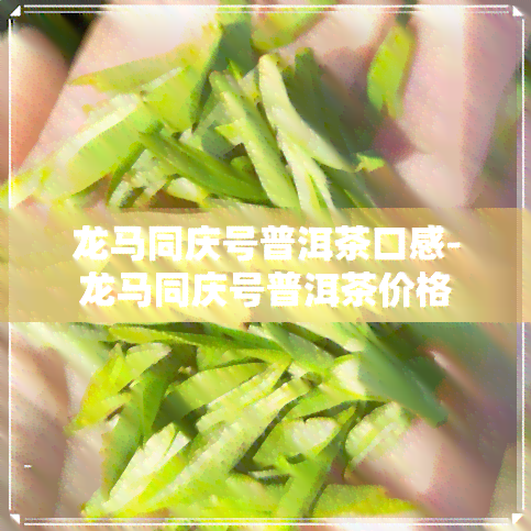 龙马同庆号普洱茶口感-龙马同庆号普洱茶价格