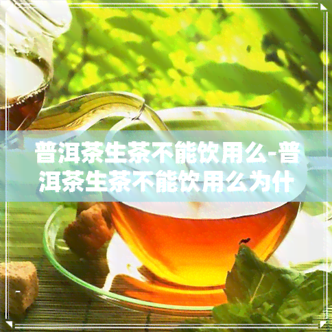 普洱茶生茶不能饮用么-普洱茶生茶不能饮用么为什么