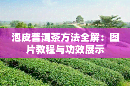 泡皮普洱茶方法全解：图片教程与功效展示