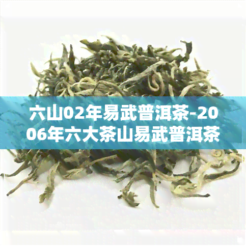 六山02年易武普洱茶-2006年六大茶山易武普洱茶价格