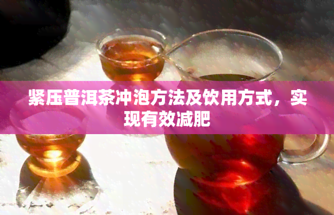 紧压普洱茶冲泡方法及饮用方式，实现有效减肥