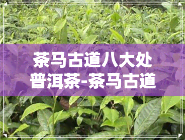 茶马古道八大处普洱茶-茶马古道 普洱