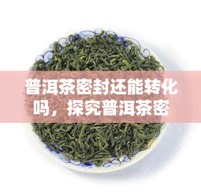 普洱茶密封还能转化吗，探究普洱茶密封后的转化可能性