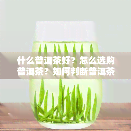 什么普洱茶好？怎么选购普洱茶？如何判断普洱茶好坏与性价比？