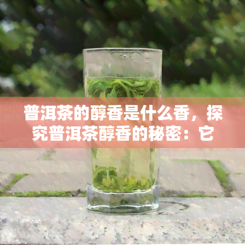 普洱茶的醇香是什么香，探究普洱茶醇香的秘密：它到底是什么香？