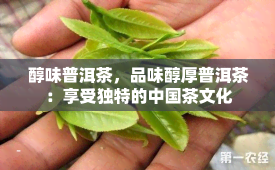 醇味普洱茶，品味醇厚普洱茶：享受独特的中国茶文化