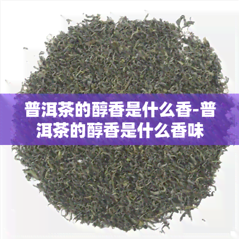 普洱茶的醇香是什么香-普洱茶的醇香是什么香味