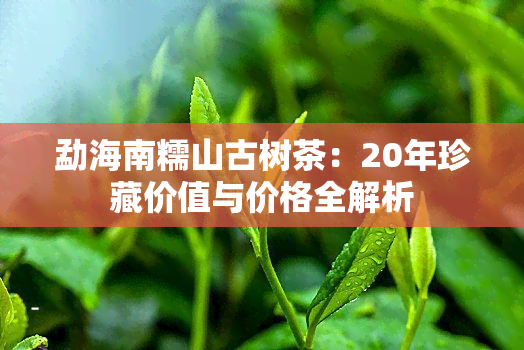 勐海南糯山古树茶：20年珍藏价值与价格全解析