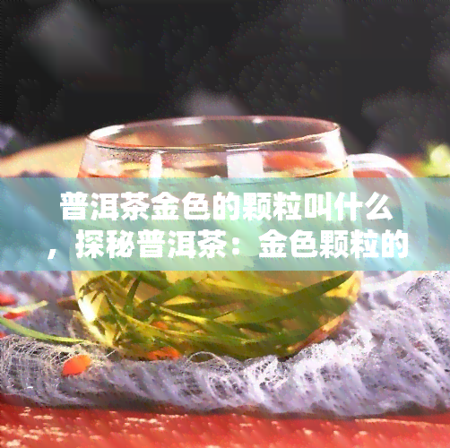 普洱茶金色的颗粒叫什么，探秘普洱茶：金色颗粒的神秘名称是什么？