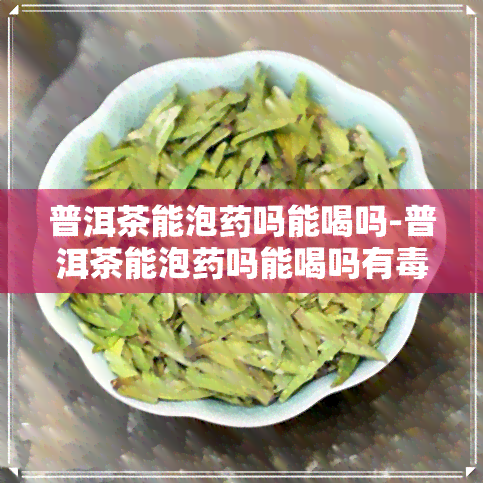 普洱茶能泡吗能喝吗-普洱茶能泡吗能喝吗有吗