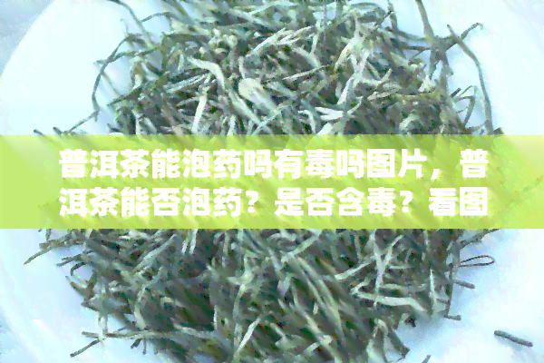 普洱茶能泡吗有吗图片，普洱茶能否泡？是否含？看图了解真相！