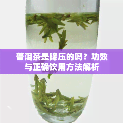 普洱茶是降压的吗？功效与正确饮用方法解析