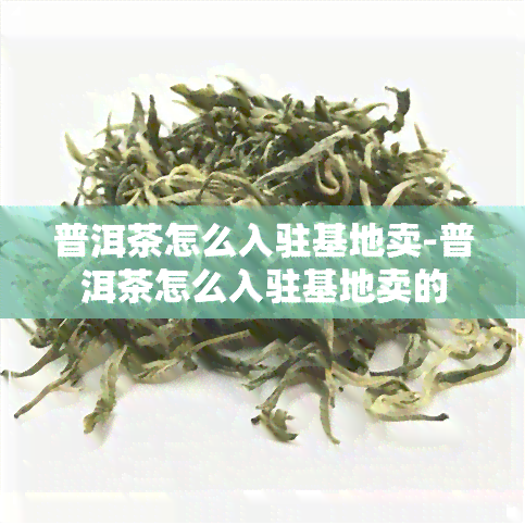 普洱茶怎么入驻基地卖-普洱茶怎么入驻基地卖的