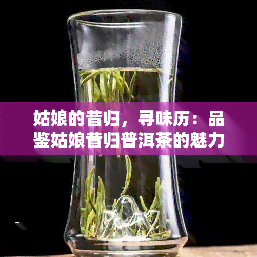 姑娘的昔归，寻味历：品鉴姑娘昔归普洱茶的魅力