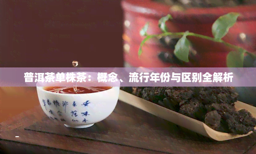 普洱茶单株茶：概念、流行年份与区别全解析