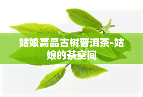 姑娘高品古树普洱茶-姑娘的茶空间