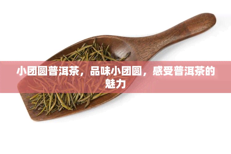 小团圆普洱茶，品味小团圆，感受普洱茶的魅力