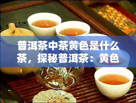 普洱茶中茶黄色是什么茶，探秘普洱茶：黄色的茶，是什么品种？