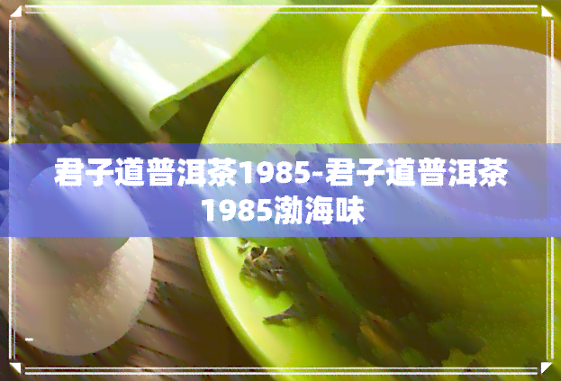 君子道普洱茶1985-君子道普洱茶1985渤海味