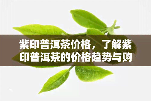 紫印普洱茶价格，了解紫印普洱茶的价格趋势与购买建议