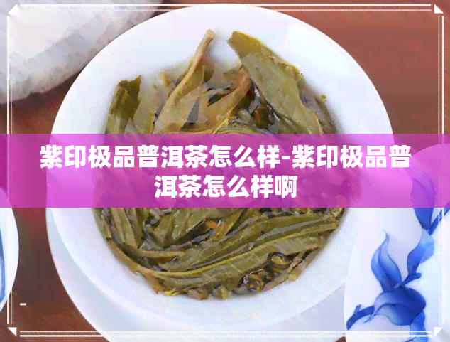 紫印极品普洱茶怎么样-紫印极品普洱茶怎么样啊