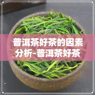 普洱茶好茶的因素分析-普洱茶好茶的因素分析图