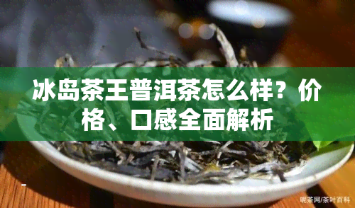 冰岛茶王普洱茶怎么样？价格、口感全面解析