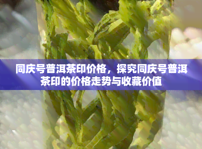 同庆号普洱茶印价格，探究同庆号普洱茶印的价格走势与收藏价值