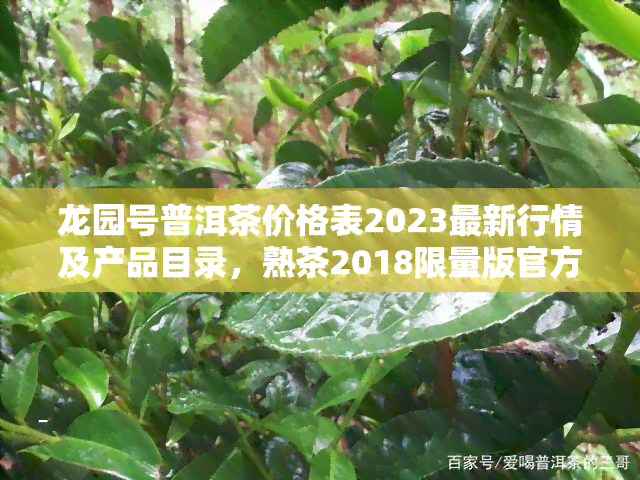 龙园号普洱茶价格表2023最新行情及产品目录，熟茶2018限量版官方报价查询