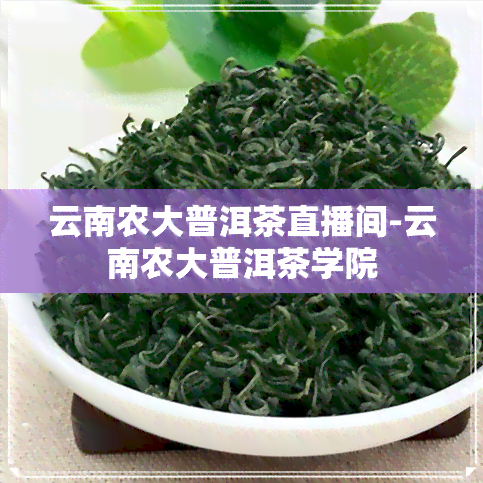 云南农大普洱茶直播间-云南农大普洱茶学院