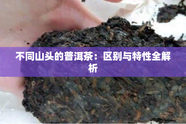 不同山头的普洱茶：区别与特性全解析