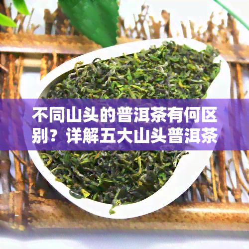 不同山头的普洱茶有何区别？详解五大山头普洱茶的特点与图片对比