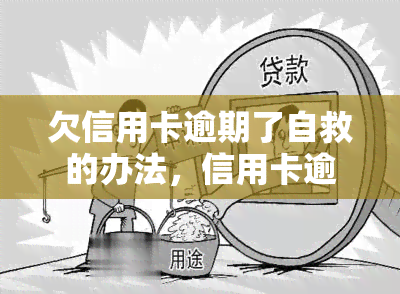 欠信用卡逾期了自救的办法，信用卡逾期怎么办？自救攻略在此！