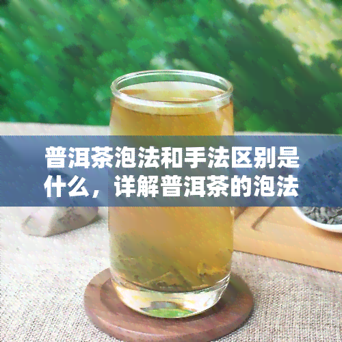 普洱茶泡法和手法区别是什么，详解普洱茶的泡法与手法差异