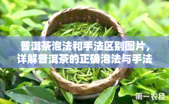 普洱茶泡法和手法区别图片，详解普洱茶的正确泡法与手法：图文并茂的区别教学