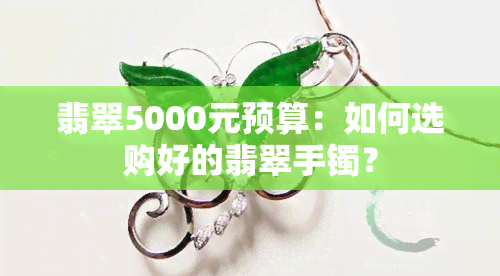 翡翠5000元预算：如何选购好的翡翠手镯？