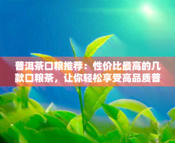 普洱茶口粮推荐：性价比更高的几款口粮茶，让你轻松享受高品质普洱！