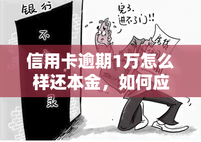 信用卡逾期1万怎么样还本金，如何应对信用卡逾期1万元的本金还款问题？