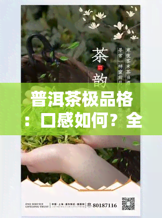 普洱茶极品格：口感如何？全面评测